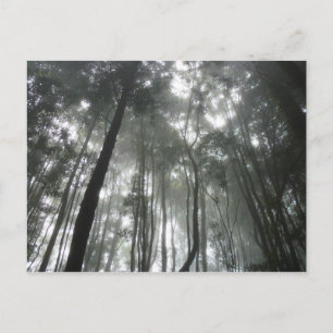 Postal de las montañas Misty