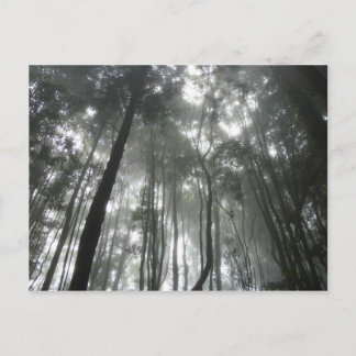 Postal de las montañas Misty