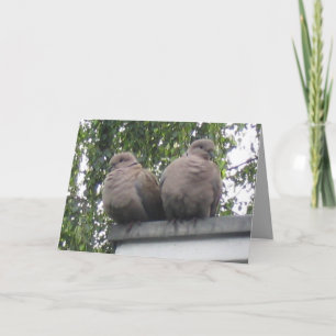 Postal de las palomas