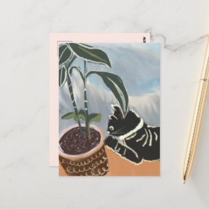 Postal de las plantas de la casa de observación de