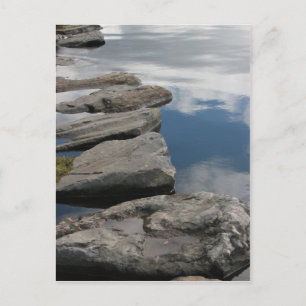 Postal de las progresiones toxicológicas