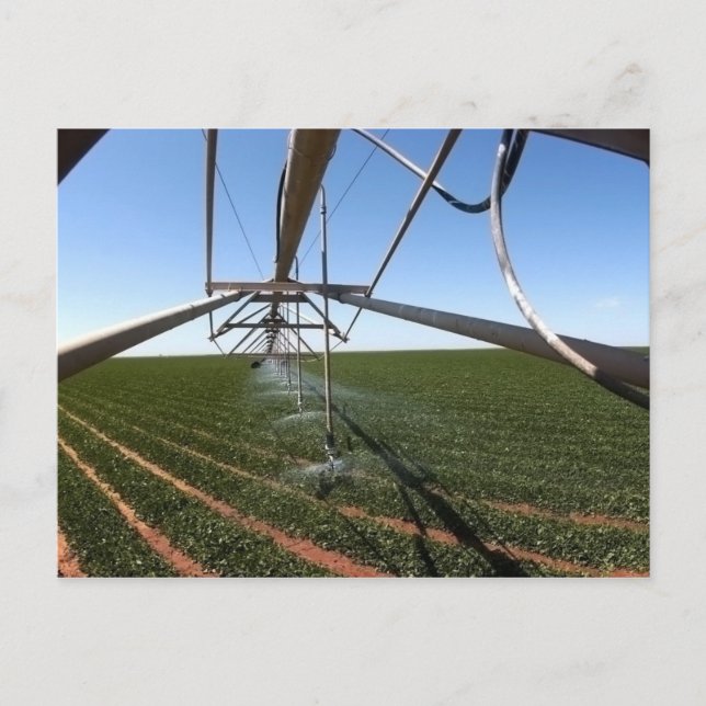 Postal de las tierras de labrantío (Anverso)