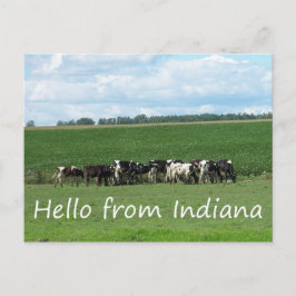Postal de las vacas de Indiana