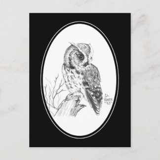 Postal de lechuza en lápiz