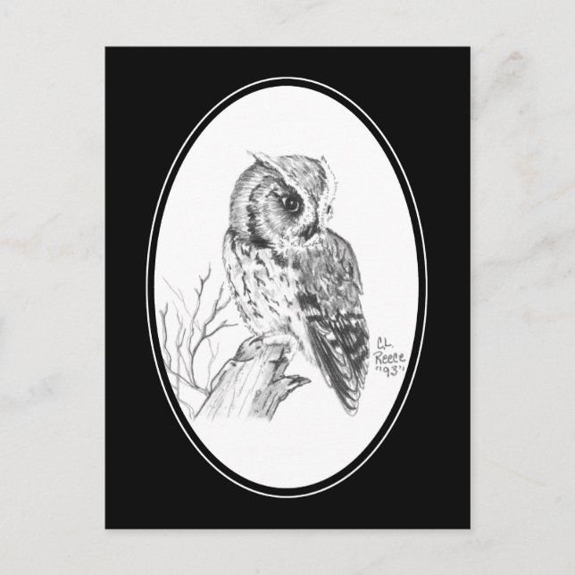 Postal de lechuza en lápiz (Anverso)