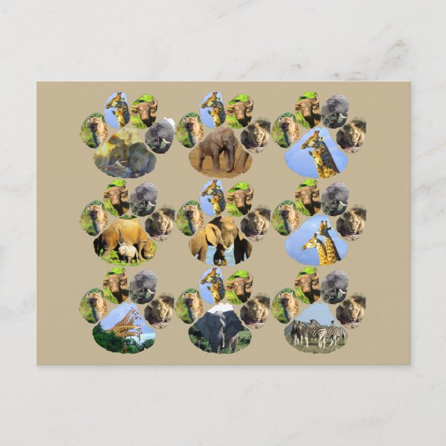 Postal de León de Vida Silvestre Africano 9 Collag (Anverso)