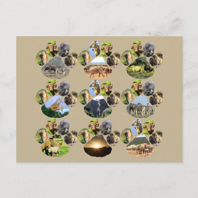 Postal de León de Vida Silvestre Africano 9 Collag (Anverso)