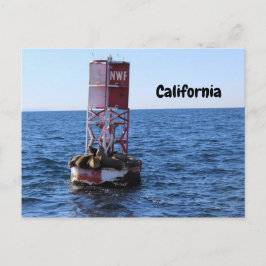 Postal de León del Mar de California