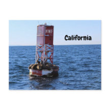 Postal de León del Mar de California