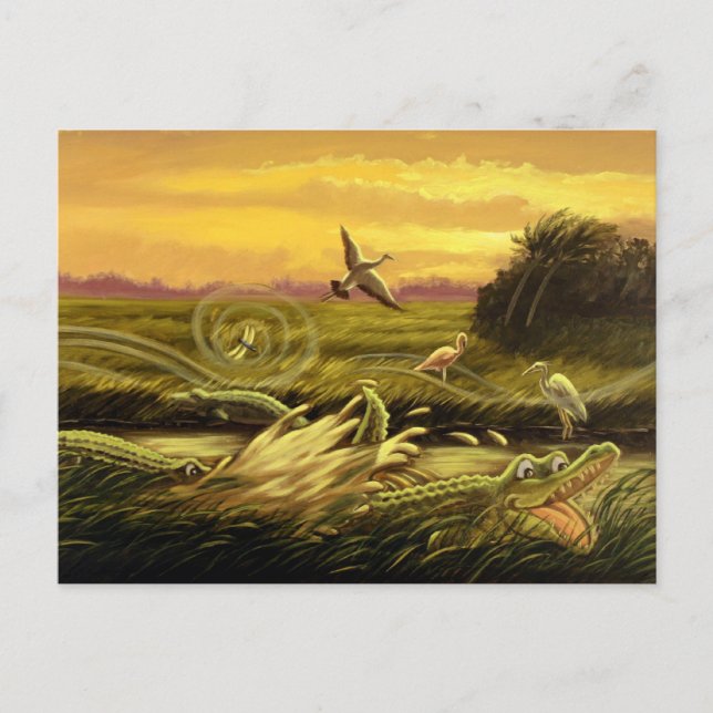 Postal de ligadores de Florida (Anverso)