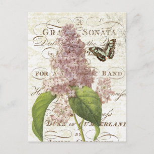 Postal de lilac botánico vintage