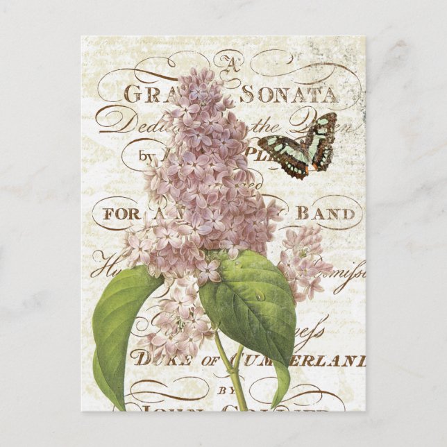 Postal de lilac botánico vintage (Anverso)
