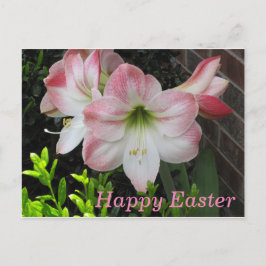 Postal de Lily Rosa Feliz Pascua