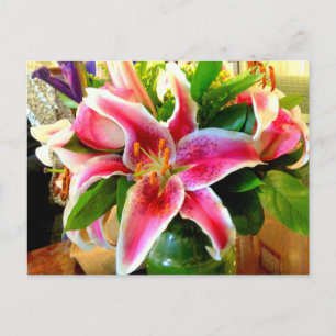 postal de lily stargazer rosa