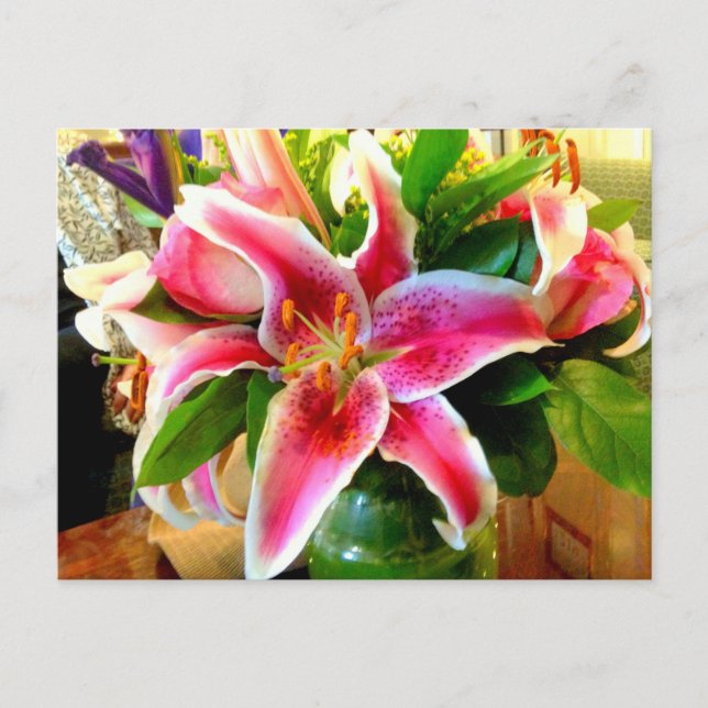 postal de lily stargazer rosa (Anverso)