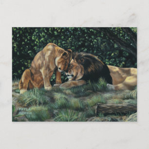 Postal de Lion Cuddle