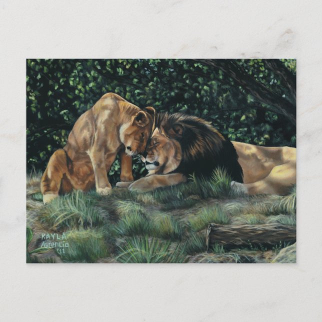Postal de Lion Cuddle (Anverso)