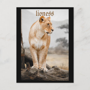 postal de lioness