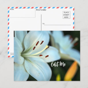 Postal de Lirio Blanco personalizable