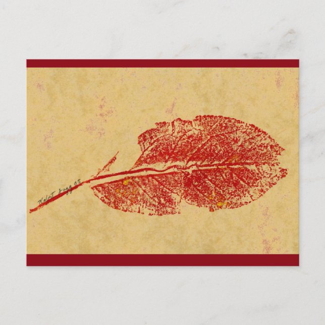 Postal de "Little Leaf" (Anverso)