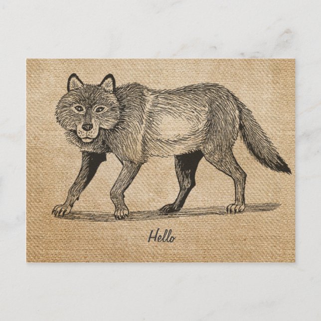 Postal de Lobo de Burlap Vintage (Anverso)