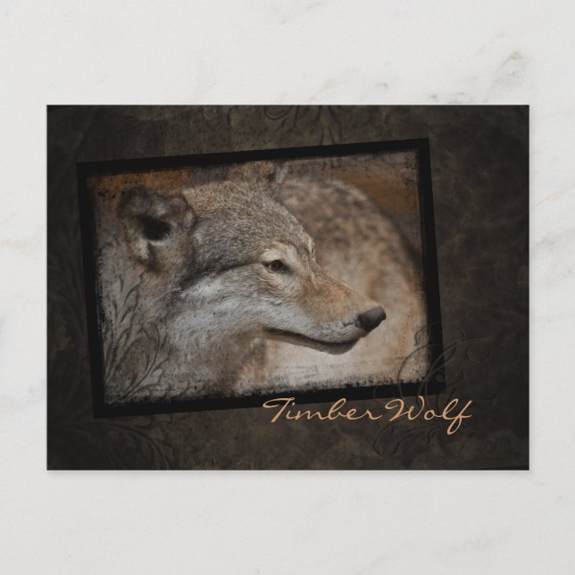 Postal de lobo de madera (Anverso)