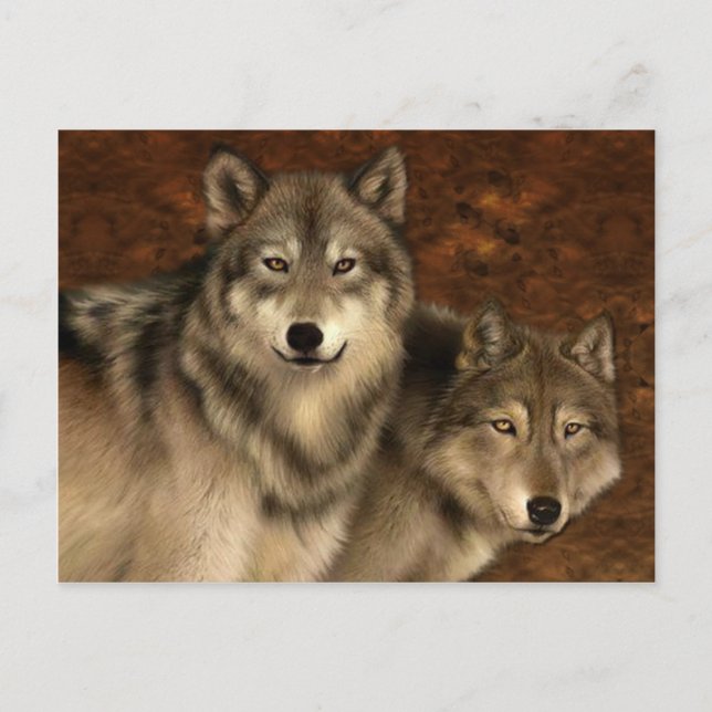Postal de lobos (Anverso)