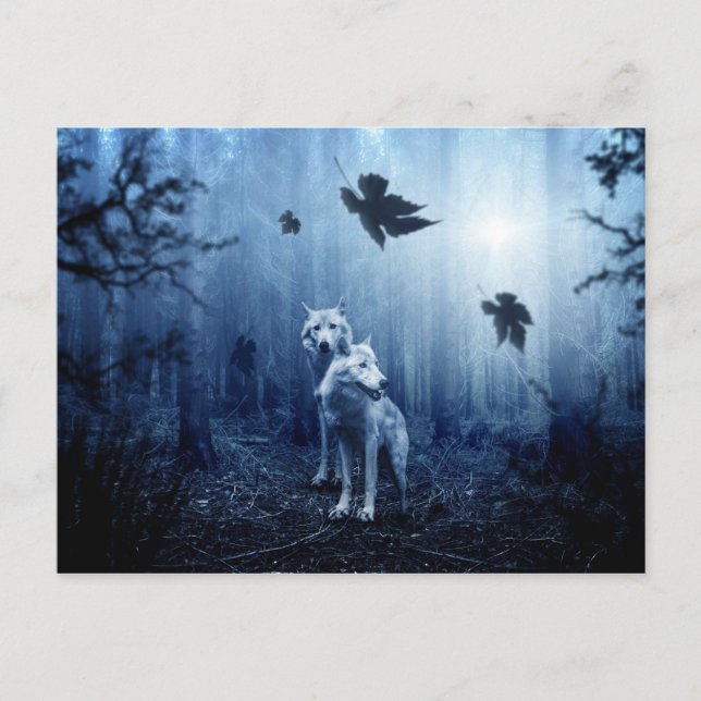 postal de lobos en el bosque (Anverso)