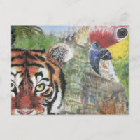 Postal de loros y tigres