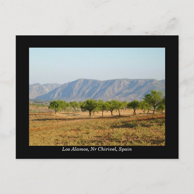 postal de los Álamos, Nr Chirivel, España (Anverso)