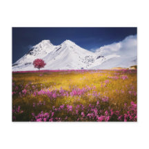 Postal de los Alpes Nevados