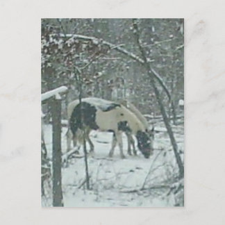 Postal de los caballos del invierno