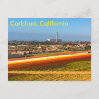 postal de los campos de flores