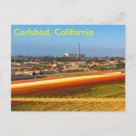postal de los campos de flores