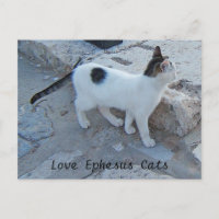 Postal de los gatos de Éfeso