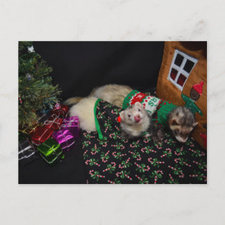 Postal de los hurónes del navidad