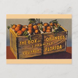 Postal de los naranjas de la Florida del vintage