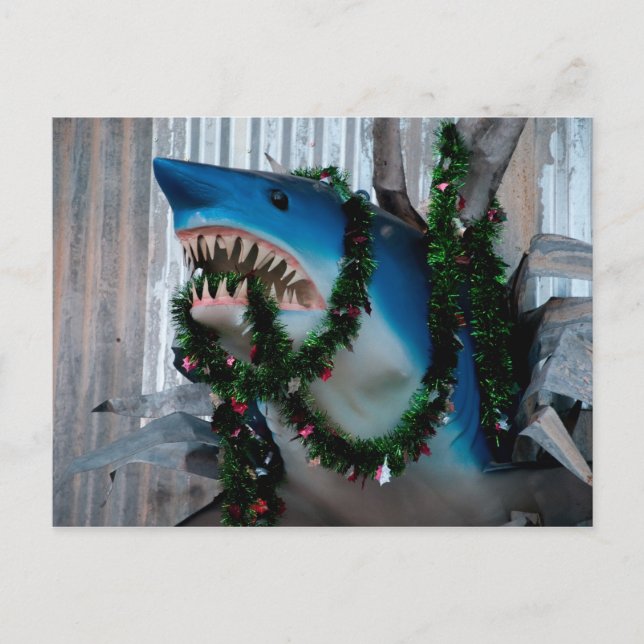postal de los navidades Shark (Anverso)