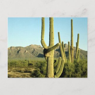 Postal de los Parques Nacionales