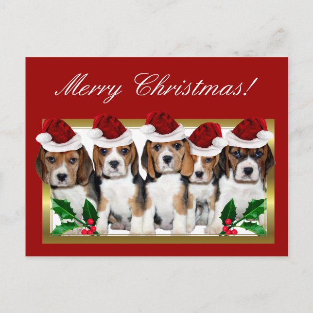 Postal de los perritos del beagle del navidad (Anverso)