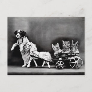 Postal de los perritos y de los gatitos del