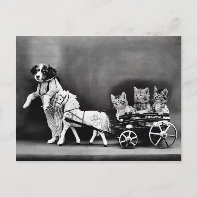 Postal de los perritos y de los gatitos del (Anverso)