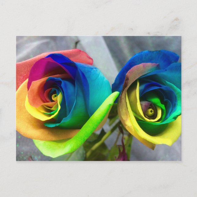 Postal de los rosas del arco iris
