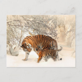 Postal de los tigres de invierno
