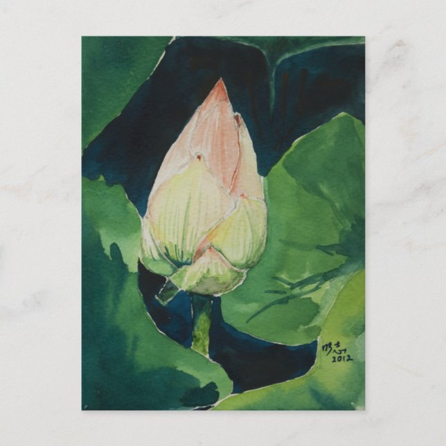 Postal de Lotus (Anverso)