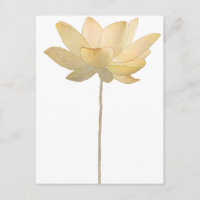 Postal de Lotus blanco