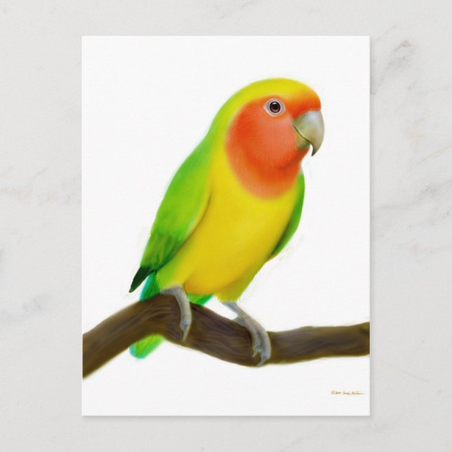 Postal de Lovebird (Anverso)