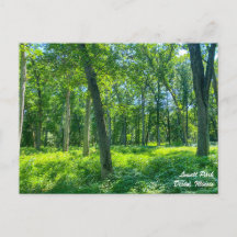 Postal de Lowell Park Dixon Illinois