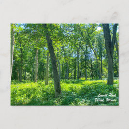 Postal de Lowell Park Dixon Illinois