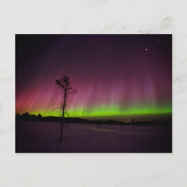 Postal de luces boreales (Anverso)